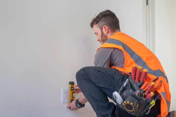 Best Electric Panel Repair  in Calumet City, IL